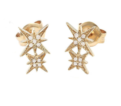 Earrings 14k