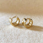 Earrings 14k